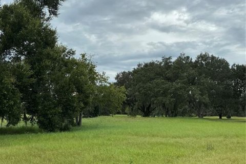 Land in Groveland, Florida № 2376643 - photo 11