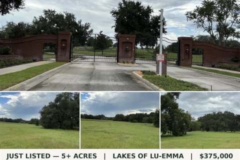 Land in Groveland, Florida № 2376643 - photo 29