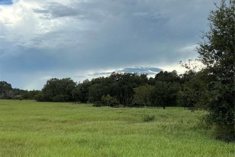 Land in Groveland, Florida № 2376643 - photo 23