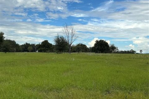 Land in Groveland, Florida № 2376643 - photo 26