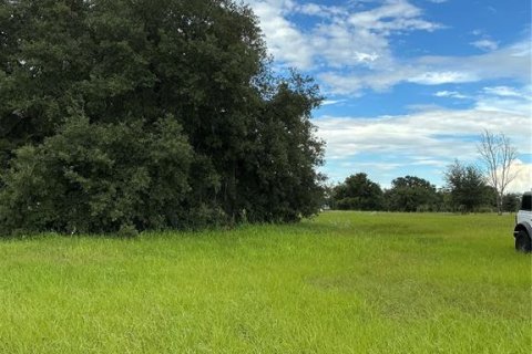 Land in Groveland, Florida № 2376643 - photo 20