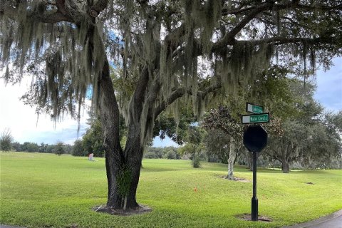 Land in Groveland, Florida № 2376643 - photo 3