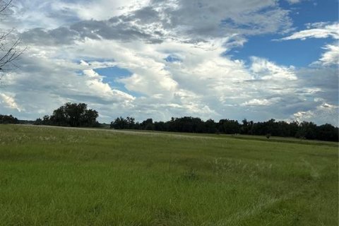 Land in Groveland, Florida № 2376643 - photo 17