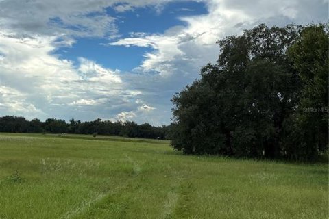 Land in Groveland, Florida № 2376643 - photo 16