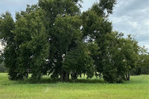Land in Groveland, Florida № 2376643 - photo 12