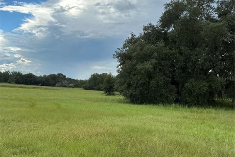 Land in Groveland, Florida № 2376643 - photo 14