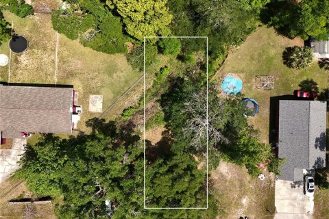 Land in Brooksville, Florida № 2221197