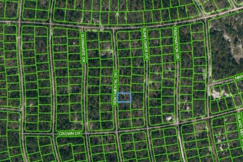 Land in Lake Placid, Florida № 2213036