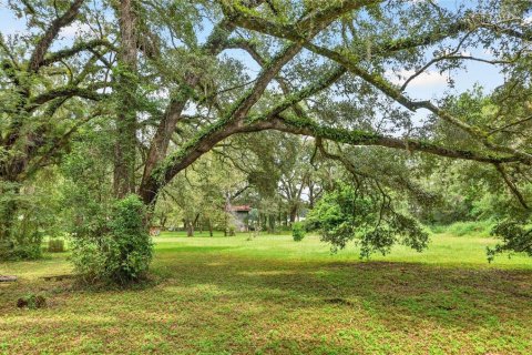House in Alachua, Florida 2 bedrooms, 114.46 sq.m. № 2394109 - photo 16
