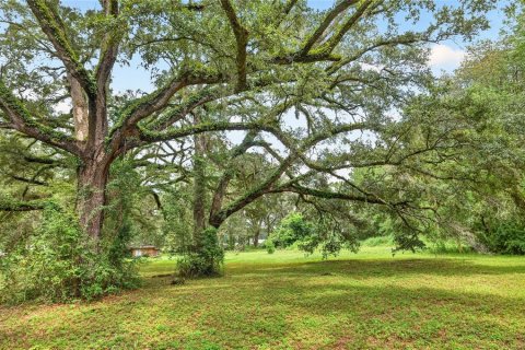 House in Alachua, Florida 2 bedrooms, 114.46 sq.m. № 2394109 - photo 14