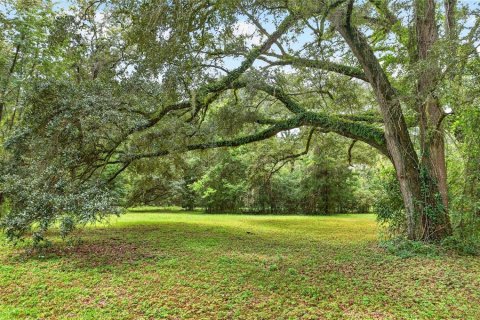 House in Alachua, Florida 2 bedrooms, 114.46 sq.m. № 2394109 - photo 15