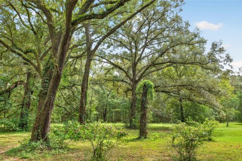 House in Alachua, Florida 2 bedrooms, 114.46 sq.m. № 2394109 - photo 20