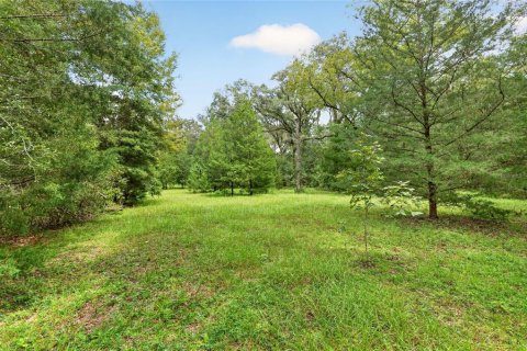 House in Alachua, Florida 2 bedrooms, 114.46 sq.m. № 2394109 - photo 26