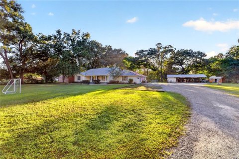 Villa ou maison à vendre à Ocala, Floride: 4 chambres, 268.86 m2 № 2422815 - photo 5