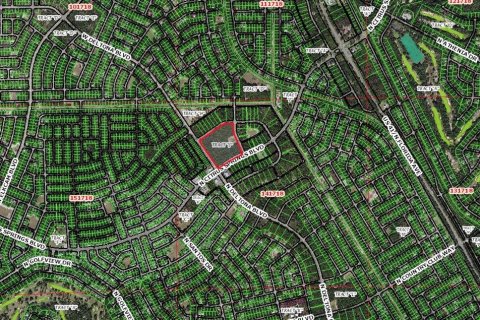 Land in Citrus Springs, Florida № 295090 - photo 13