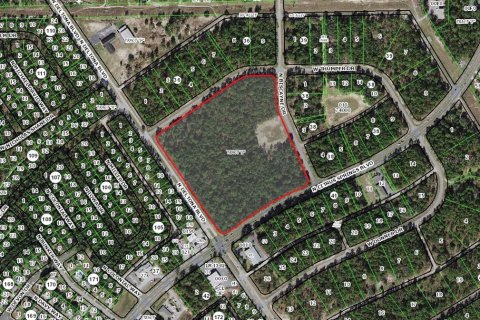 Land in Citrus Springs, Florida № 295090 - photo 2