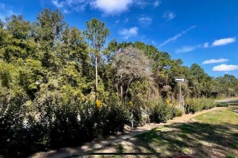 Land in Citrus Springs, Florida № 295090 - photo 6