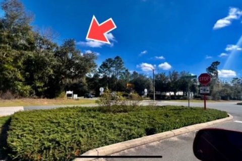 Land in Citrus Springs, Florida № 295090 - photo 7