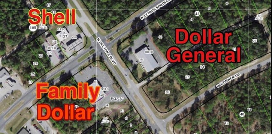 Land in Citrus Springs, Florida № 295090