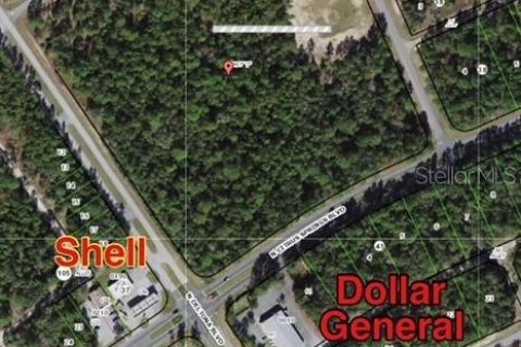 Land in Citrus Springs, Florida № 295090 - photo 16