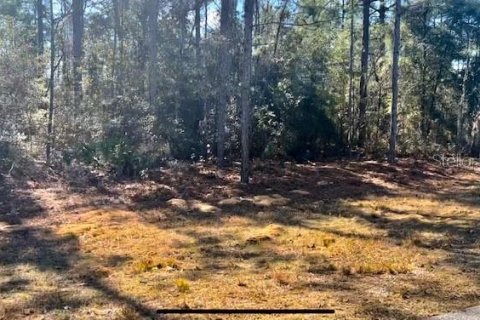 Land in Citrus Springs, Florida № 295090 - photo 3