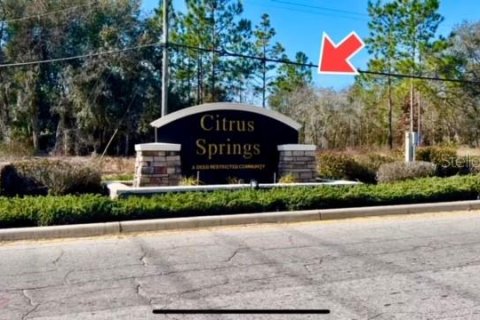 Land in Citrus Springs, Florida № 295090 - photo 10