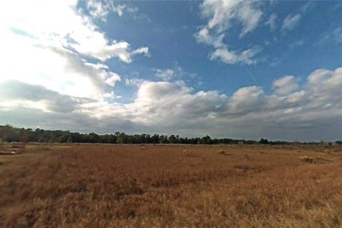 Land in Ocala, Florida № 2159261 - photo 3