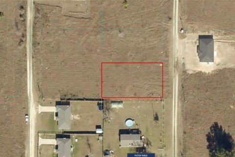 Land in Ocala, Florida № 2159261 - photo 2