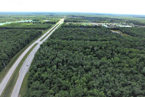 Land in Edgewater, Florida № 1569811 - photo 4