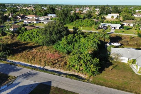 Land in North Port, Florida № 2163600 - photo 7