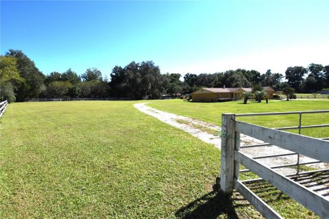 House in Gainesville, Florida 5 bedrooms, 344.85 sq.m. № 2210053 - photo 3