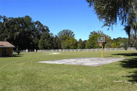House in Gainesville, Florida 5 bedrooms, 344.85 sq.m. № 2210053 - photo 4