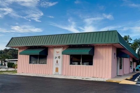 Propiedad comercial en venta en New Smyrna Beach, Florida, 293.57 m2 № 1787923 - foto 3