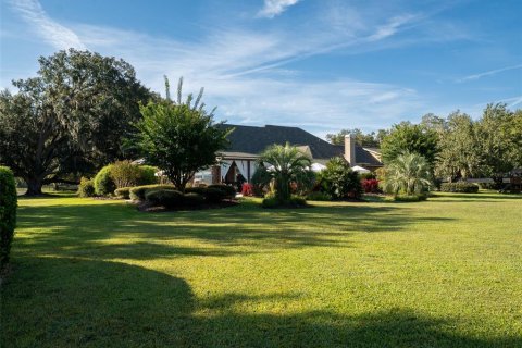 Villa ou maison à vendre à Newberry, Floride: 4 chambres, 577.29 m2 № 2427546 - photo 22