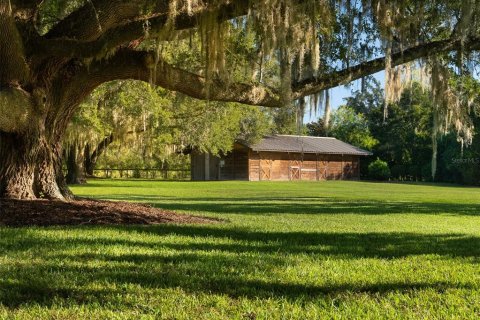 Villa ou maison à vendre à Newberry, Floride: 4 chambres, 577.29 m2 № 2427546 - photo 25