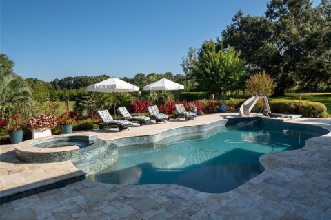 Villa ou maison à vendre à Newberry, Floride: 4 chambres, 577.29 m2 № 2427546 - photo 10