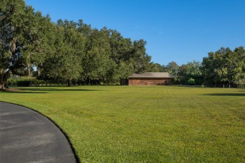 Villa ou maison à vendre à Newberry, Floride: 4 chambres, 577.29 m2 № 2427546 - photo 27