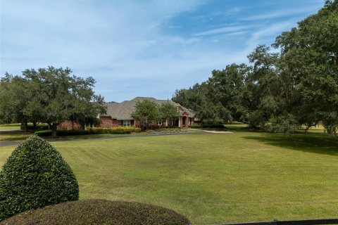 Villa ou maison à vendre à Newberry, Floride: 4 chambres, 577.29 m2 № 2427546 - photo 3