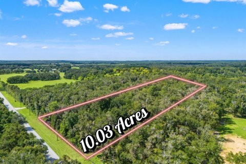 Land in Floral City, Florida № 2352247