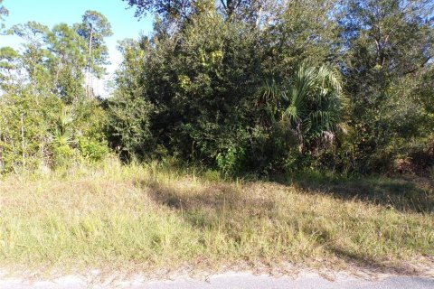Land in Port Charlotte, Florida № 2164591