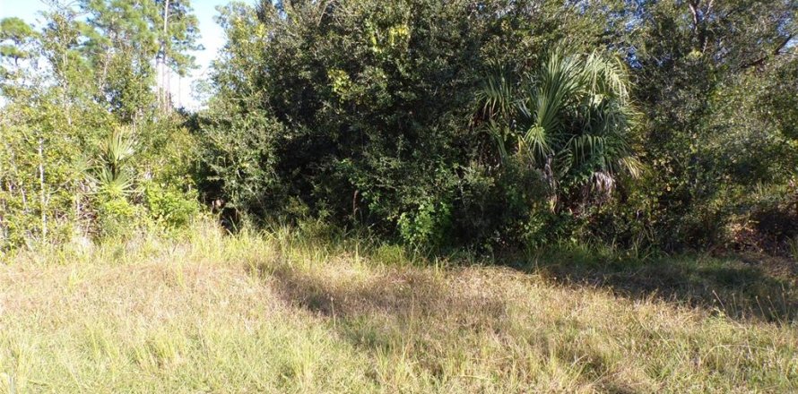 Land in Port Charlotte, Florida № 2164591