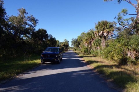 Land in Port Charlotte, Florida № 2164591 - photo 12