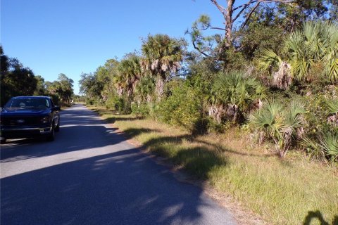 Land in Port Charlotte, Florida № 2164591 - photo 11