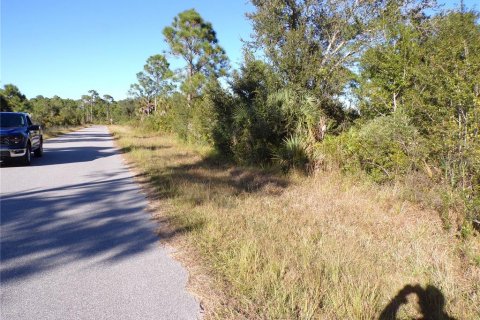Land in Port Charlotte, Florida № 2164591 - photo 4