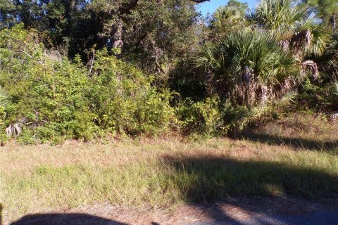 Land in Port Charlotte, Florida № 2164591 - photo 8