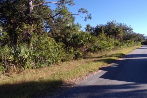 Land in Port Charlotte, Florida № 2164591 - photo 10