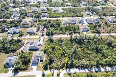Land in Port Charlotte, Florida № 2206374 - photo 4