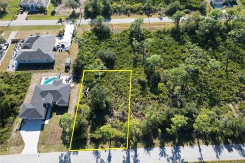 Land in Port Charlotte, Florida № 2206374 - photo 2