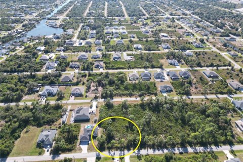 Land in Port Charlotte, Florida № 2206374 - photo 6