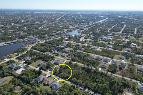 Land in Port Charlotte, Florida № 2206374 - photo 10